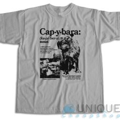 Capybara Noun Defined T-Shirt Color Grey