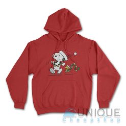 Charlie and the Snoopy Christmas Hoodie